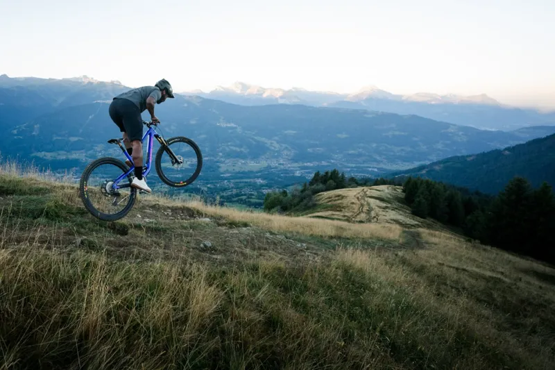 Santa Cruz Tallboy C S Mountain Bike 2023 Matte Taupe-7